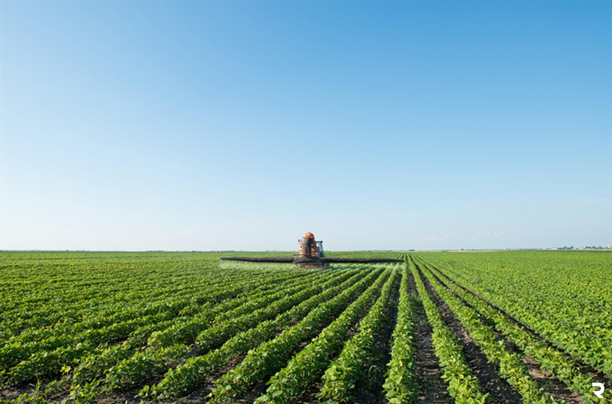 Farming cooperatives could end hunger while boosting financial improvement in ruined regions