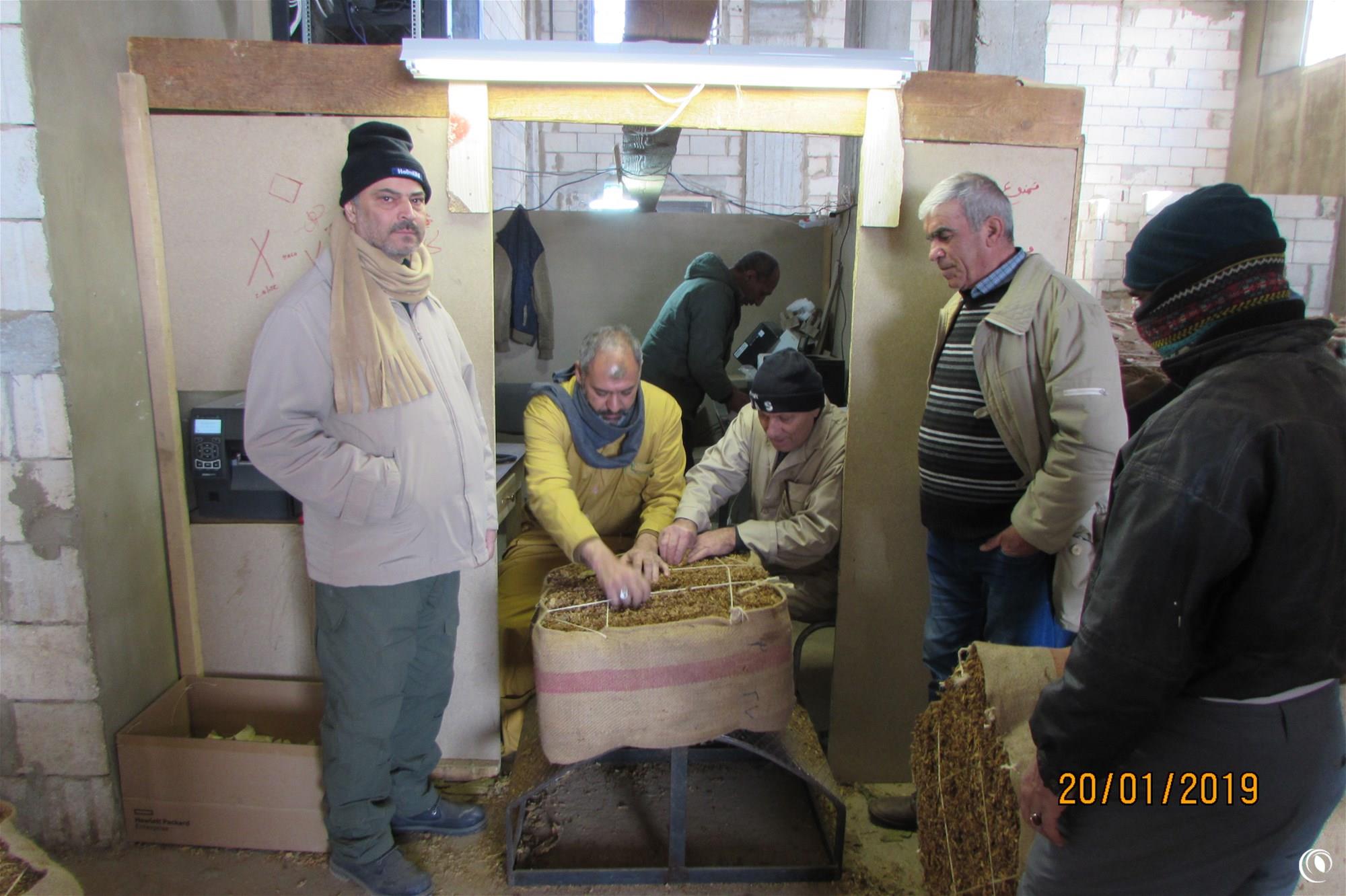 Regie announces start of tobacco purchase from Bekaa