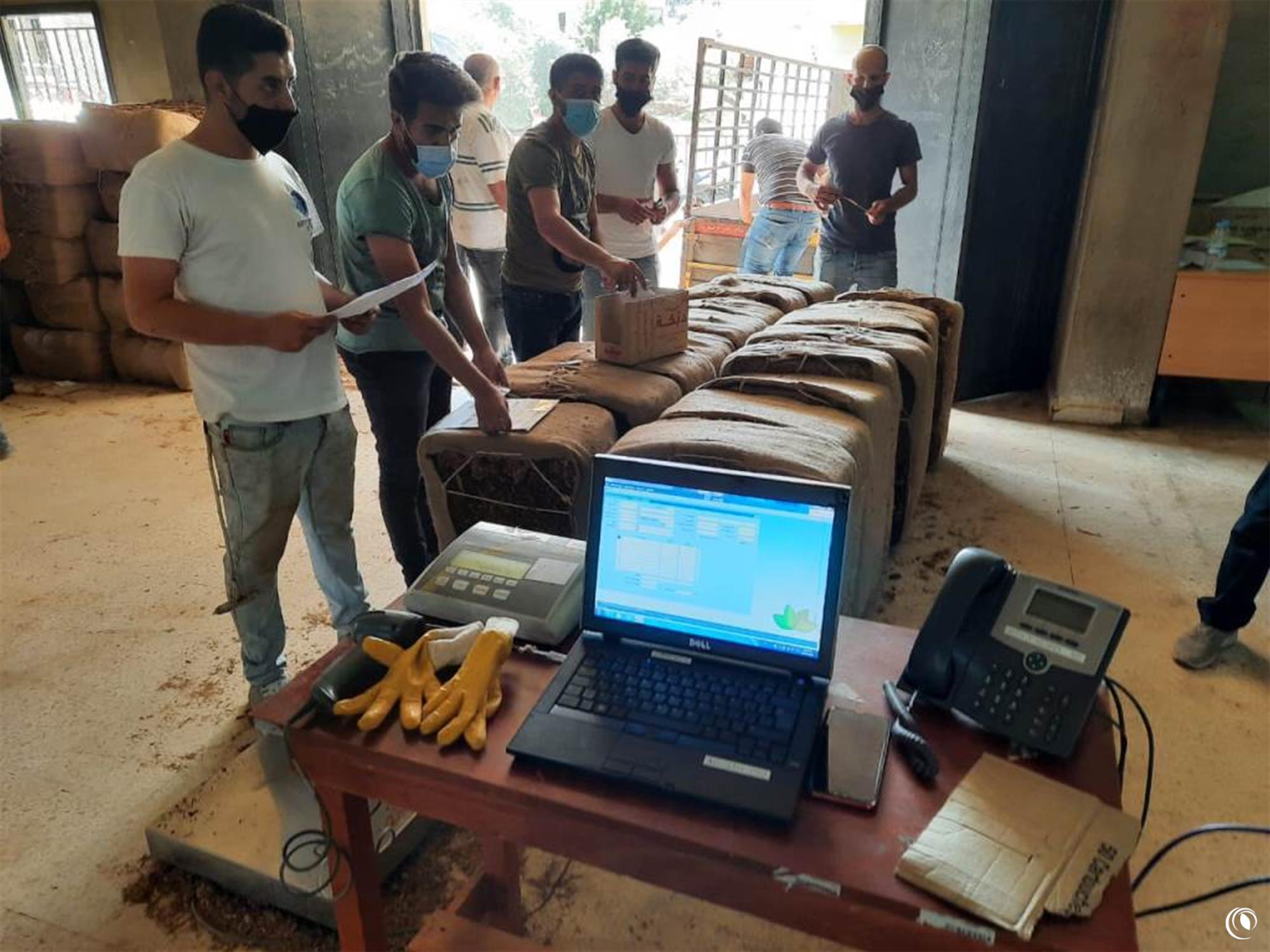 Regie began purchasing the tobacco harvest in Tyr and Nabatiyeh; Faqih follows up on the process