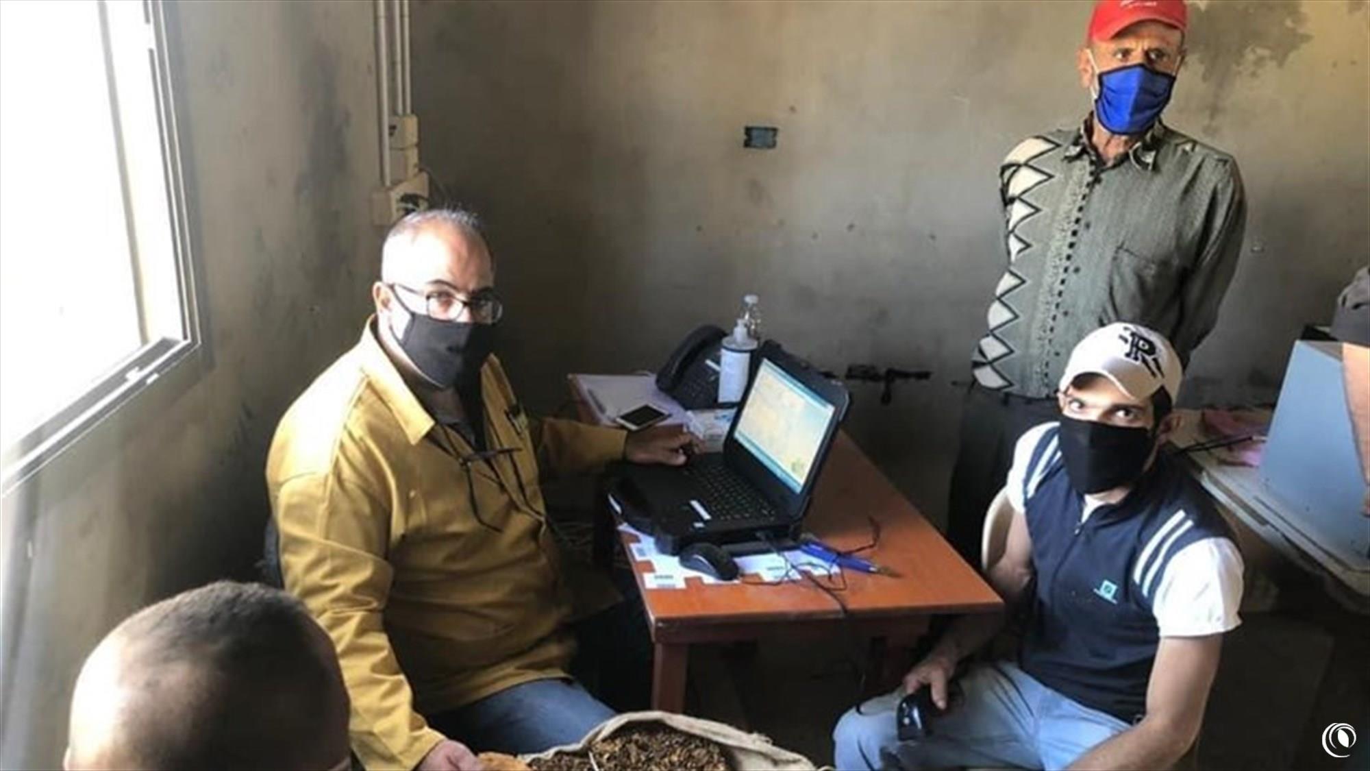 The Regie carries forward the purchase of tobacco harvest from farmers in Tyre and Bint Jbeil