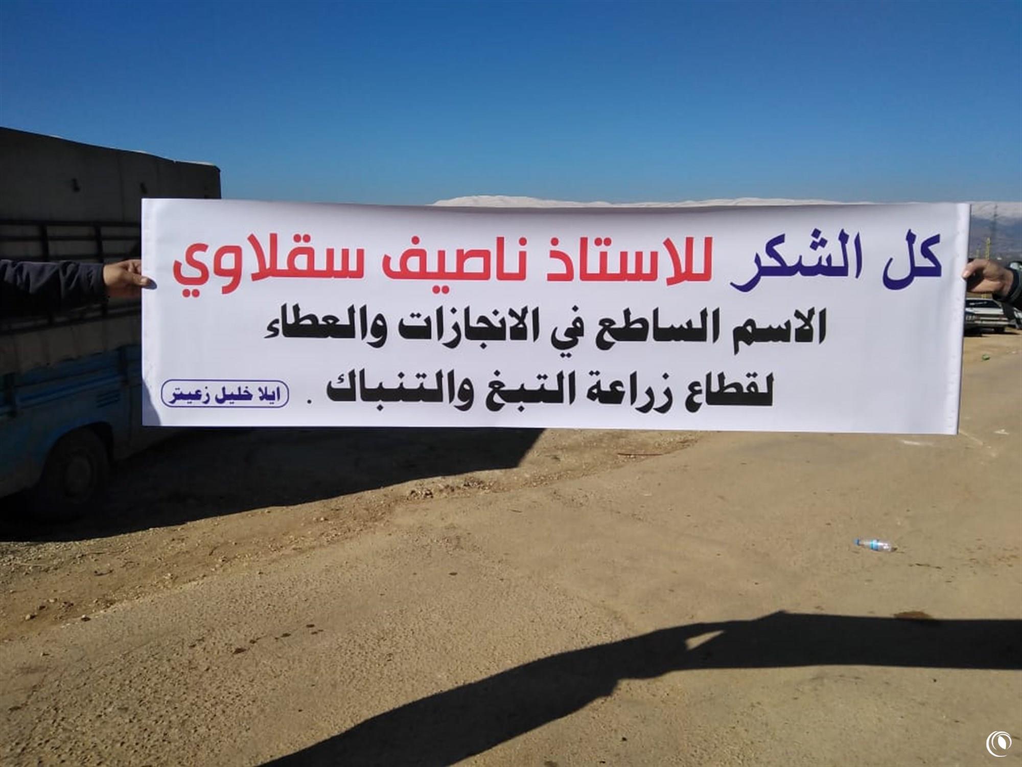 Tobacco farmers in Bekaa express gratitude as purchase season reaches its end
