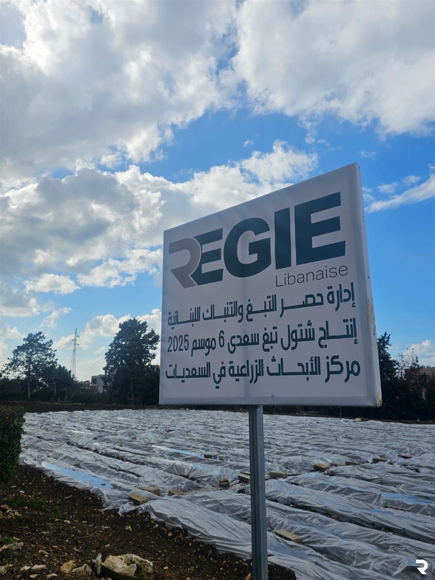 "الريجي" توزع شتولاً على مزارعي الجنوب وخصوصاً القرى الأمامية
